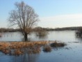 /album/le-lac-de-grandlieu/a7-janvier-2009-149-jpg2/